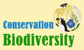 NEED FOR BIODIVERSITY CONSERVATION
